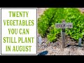 20 vegetables YOU CAN PLANT IN LATE SUMMER for a fall garden