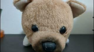 HKT48(田中美久)「わたしのふるさと」ピアノ弾き語り　#HKT48　#わたしのふるさと　#弾き語り　#ピアノ弾き語り　#ピアノ　#よしわん　#よしわんだふる　#ワンドル　#熊本