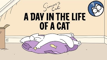 A Day in the Life of a Cat | Colour Episodes | Simon