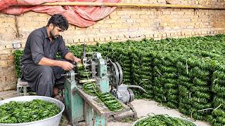 Inside the World of Production Top 9 Products Manufacturing You Won't Believe