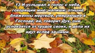 14.11.2014 Отмеченные Богом (Откровение 14:1–13)