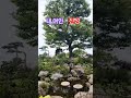 #내여인 #진성 #류재성영상 #이보규tv #shorts