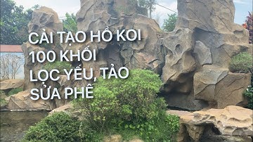 HỒ KOI 100 KHỐI - LỌC YẾU - TẢO KHẮP NƠI - SỬA PHÊ LUÔN || CÁ KOI VLOG TRẦN ĐỨC CƯỜNG