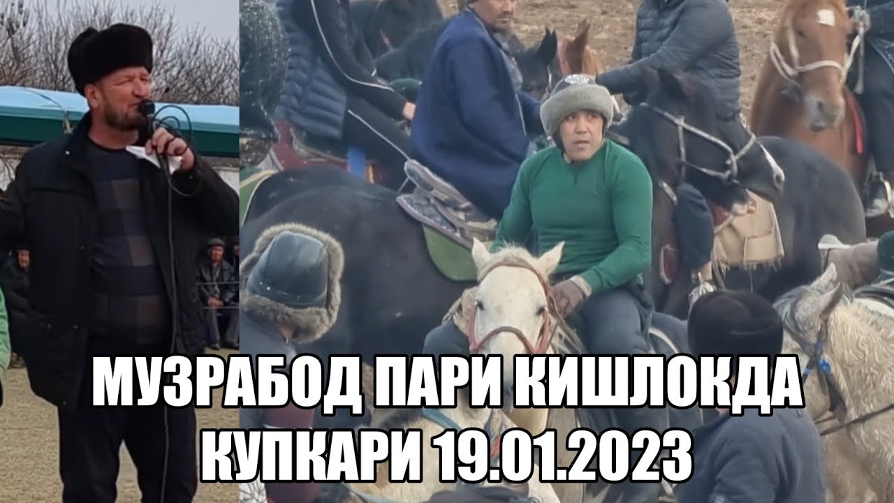 Авто элон сурхондаре