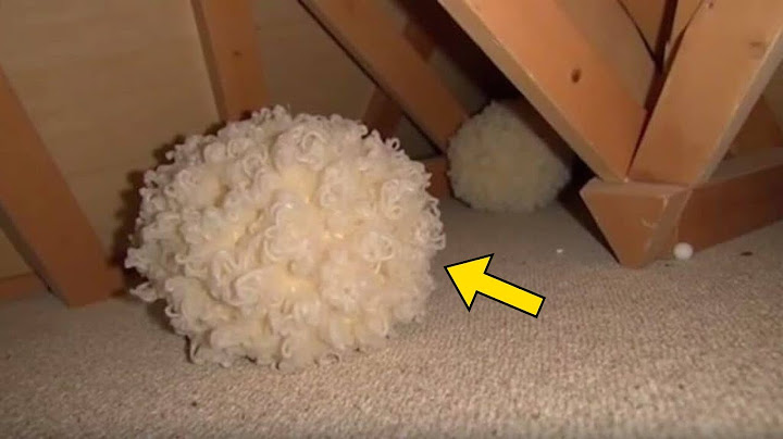 Man Thought It Was Just Insulation — Then An Expert Discovers This