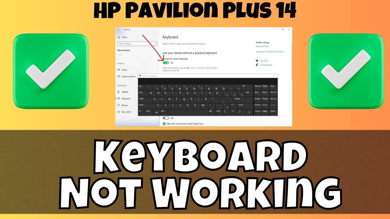 Keyboard Problems How To Fix Keyboard Problems In HP Pavilion Plus 14 | Keyboard Not ...