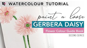 How to Paint a Gerbera Daisy in Watercolour - The Flower Colour Guide Series 2