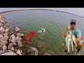 Fishing with lures for speckled trout  flounder