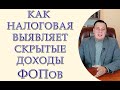 Как налоговая выявляет скрытые доходы ФОПов