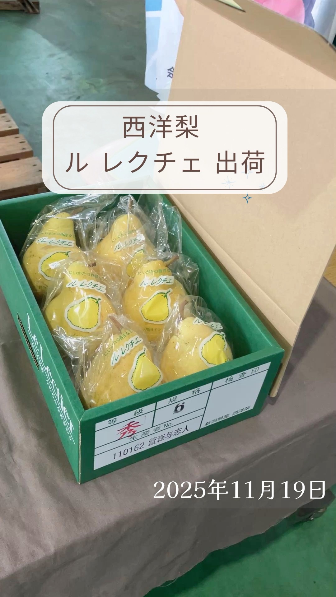 西洋梨 ル レクチェ出荷】#新潟 #洋梨 #shorts - YouTube