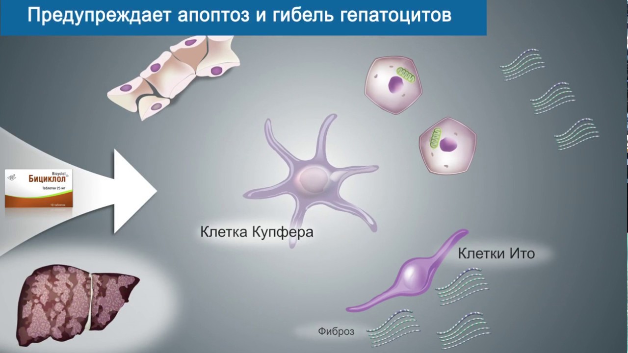 Бициклол гепатопротектор для печени - YouTube