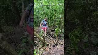 Island Life As A Brianna