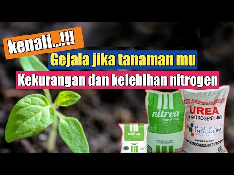 Video: Bagaimanakah septik nitrogen rendah berfungsi?