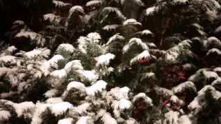 Holly Jolly Christmas ~ Michael Bublé