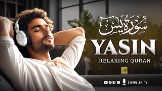 Surah Yasin (Yaseen) سورة يس | Relaxing Heart touching calming best voice | Zikrullah TV