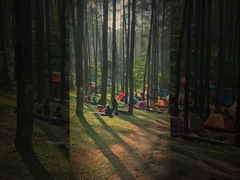 Bumi Perkemahan Batu Kuda — Basecamp Gunung Manglayang