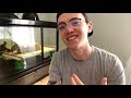 Reptile room tour