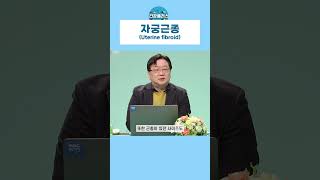 [건강플러스] 폐경기가 되면 자궁근종이 생기지 않는다? #자궁근종 #자궁근종_오해와진실 #폐경기 #건강플러스 #산부인과전문의