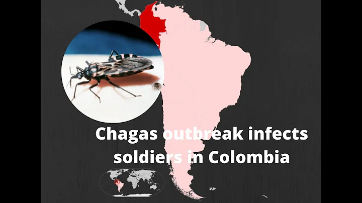 Chagas outbreak among soldiers in Colombia, Linked to food