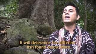 Ho'omau: A Hawaiian Documentary
