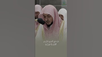 تلاوة بهية للشيخ الوليد الشمسان