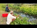 Fishing Video || The grandfather is teaching his grandson all the tricks of fishing || Hook fishing