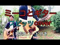ミーコとギター スピッツ(spitz) 弾き語り カバー/浅井しんや   #Shorts