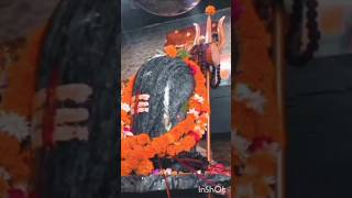 #shorts #shivratri #status #om #shivshakti🙏🏻🙏🏻🙏🏻..