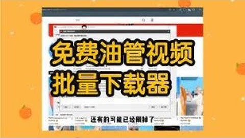 免费油管视频下载工具YouTube批量解析下载器 2025-11-09 最新版