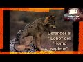 Postura de Félix Rodríguez de la Fuente ante el “Lobo”.