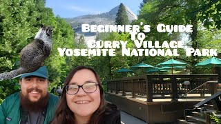 Beginner's Guide to Curry Village, Yosemite National Park - Tips from a local! by Moonstone Mountaineer 13,903 views 11 months ago 15 minutes