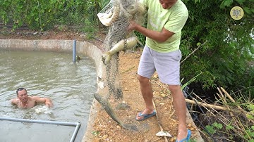 GỎI CÁ AO MỚI | Nhịp Sống Tây Bắc