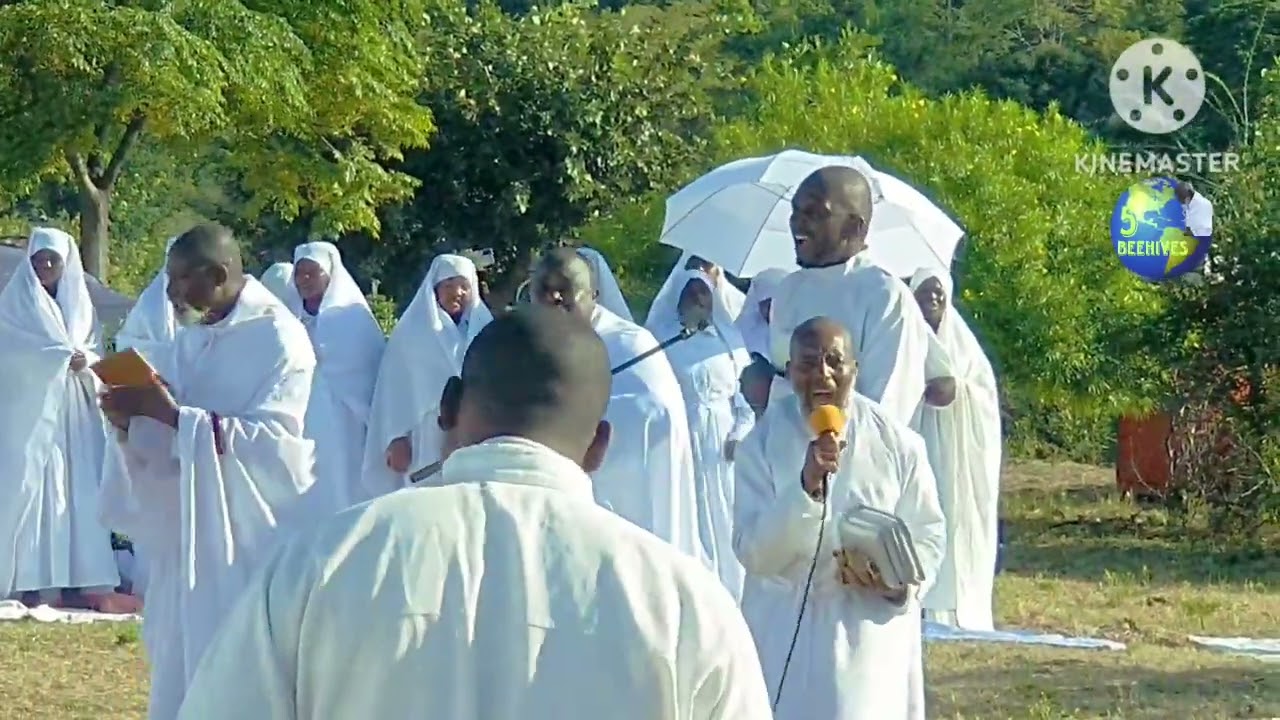 Tichamunamata kudzamara taenda