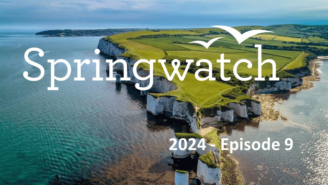 Springwatch 2024 Episode 9 - YouTube