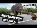 The Rickshaw Run - Sri Lanka - we fed wild elephants!