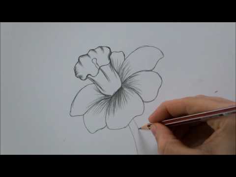 How To Draw a Flower step by step In 6 Minutes!