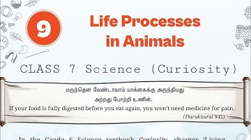 Class 7 Science Curiosity Chapter 9 | Life Processes in Animals | Full Chapter/ Oneshot