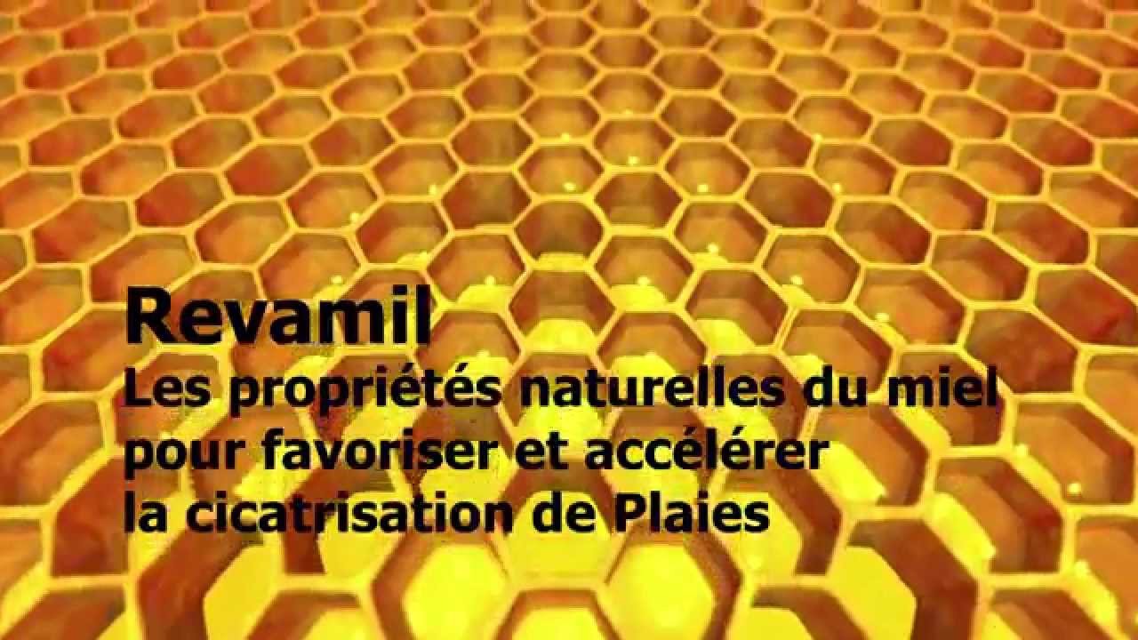 Revamil - YouTube