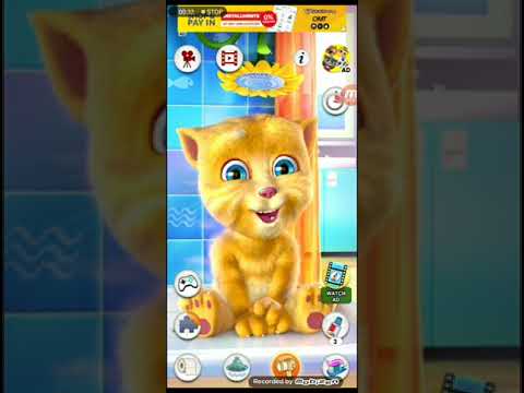 اصوات الحيوانات