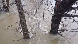 Heavy rain floods Swartz Creek golf course and skate park in Flint