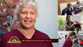 Business Spotlight Sunnymead Animal Hospital