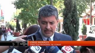 Provincias de Concepción, Biobío y Ñuble se mantienen en alerta roja