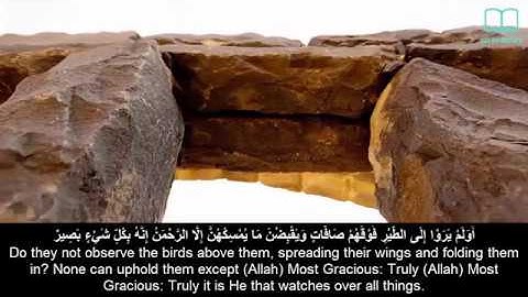 سورة الملك - ياسر الدوسري - مترجم | Surah Al Mulk - Yasser Aldosari - English subtitles