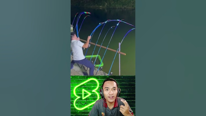 Mancing ikan 1 Joran ❌ Mancing Ikan 10 Joran ✅ #shorts #mancing #fishing