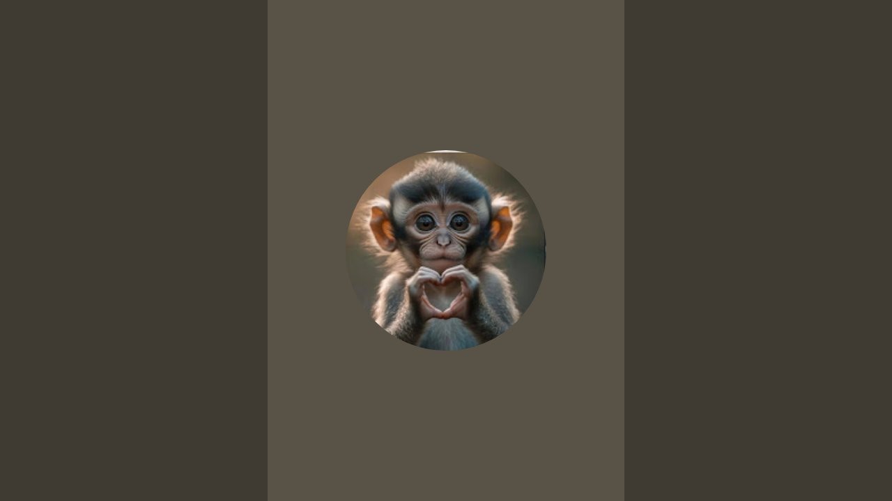 Kırk-yedi akvaryum😊🌹