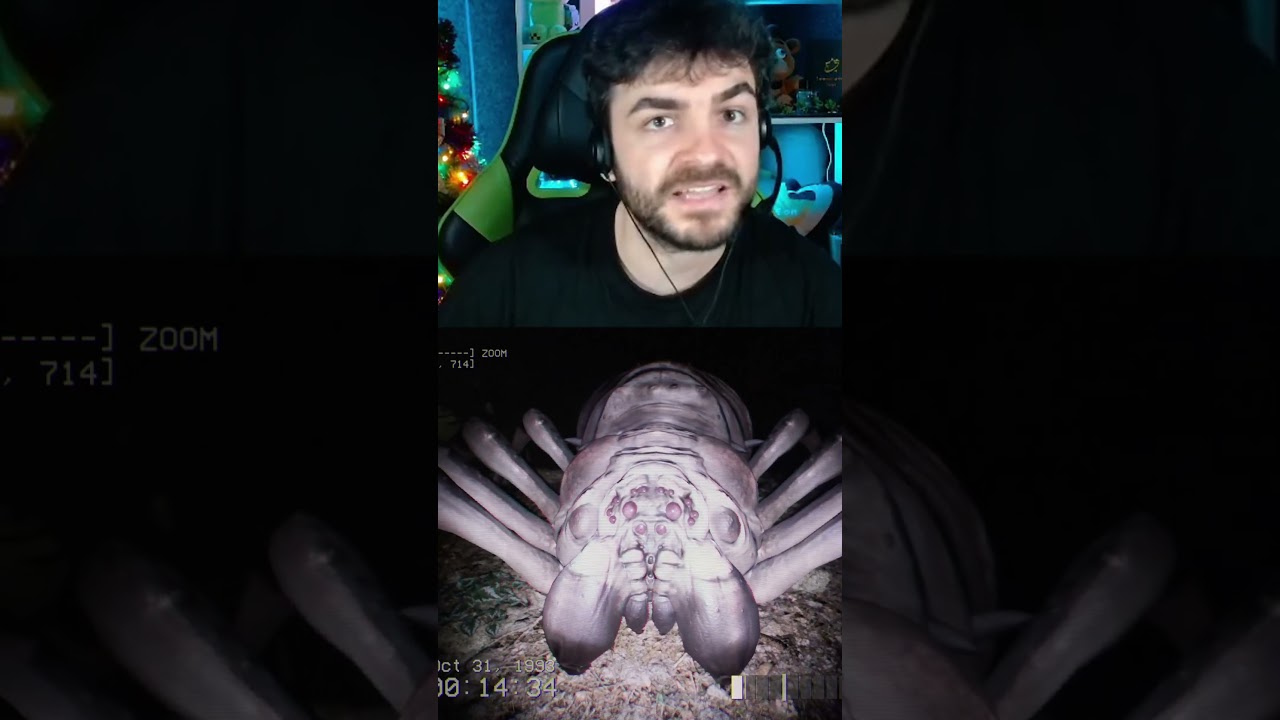 Tumbao se enamora de una Araña