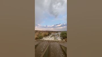 ربنا لاتزغ قلوبنا بعد إذ هديتنا بصوت القارئ وديع اليمني