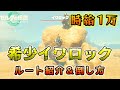 【効率金策】時給1万ルピー！希少イワロックの場所と倒し方【ゼルダの伝説/ティアキン/TotK】