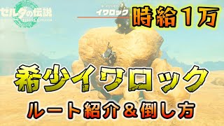 【効率金策】時給1万ルピー！希少イワロックの場所と倒し方【ゼルダの伝説/ティアキン/TotK】