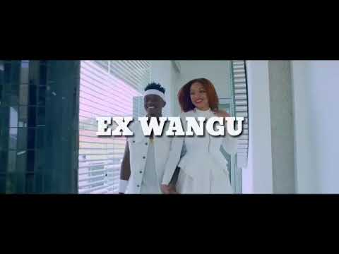 rayvanny-ft-aslay---ex-wangu-(official-music-video)